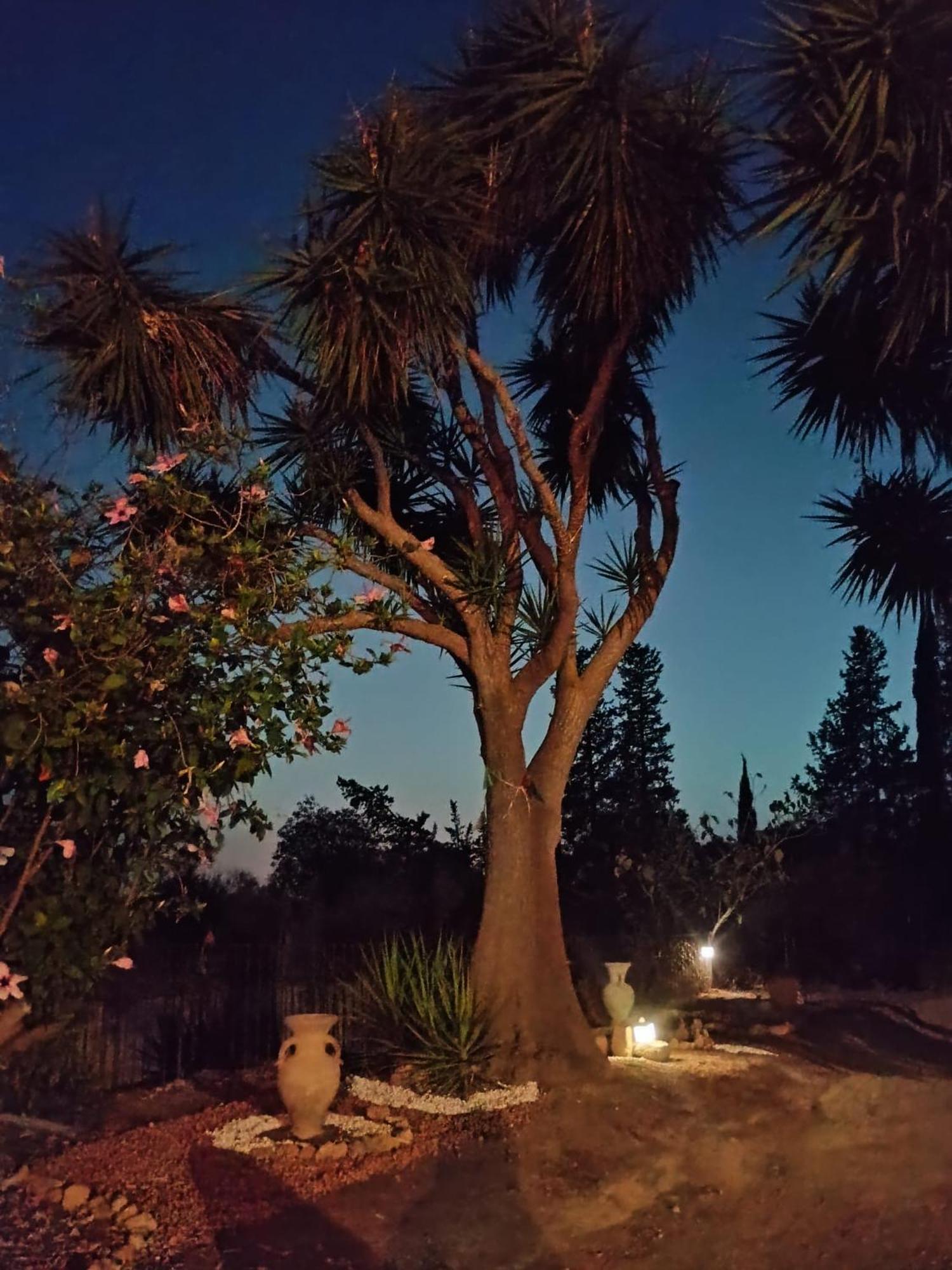 La Villa Di Minerva Agrigento Exterior photo